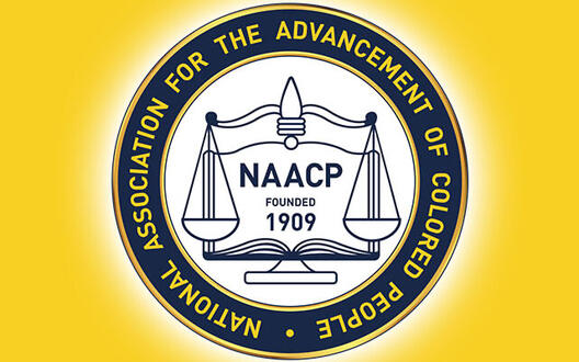 Fresh headshots while in Hawai'i !